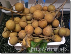 longan