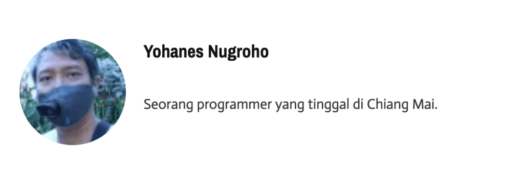 profil penulis setelah diisi dengan plugin Guest Author